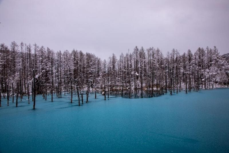 Готель Biei Shirogane No Yu Екстер'єр фото